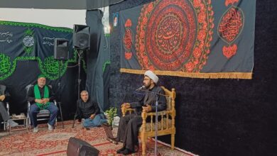 رجایی خراسانی: نگاه صحیحی که اهل بیت خواستار آنند نگاه از همراهی تا هماهنگی است