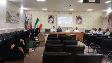 نشست هم اندیشی بنیاد فرهنگی حضرت مهدی موعود(عج) شهرستان ایرانشهر