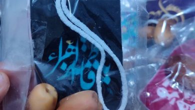 نسل منتظر از دامان فاطمیه برمی‌خیزد؛ حرکت آرام اما ژرف سه‌شنبه‌های مهدوی