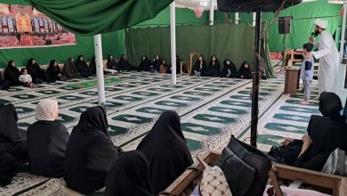 تبیین وظایف منتظران ظهور در نشست ویژه بانوان روستای سرتشنیز